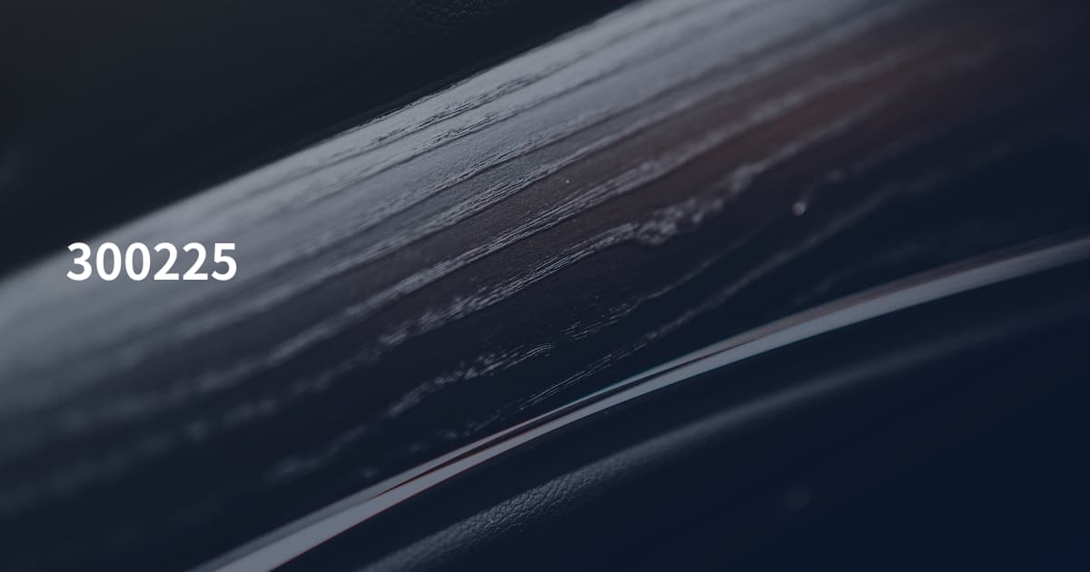 300225