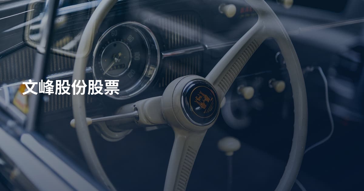 文峰股份股票