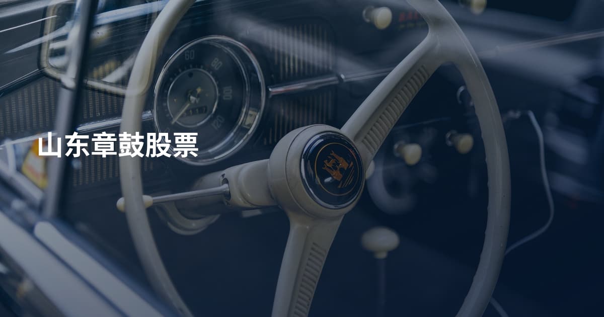 山东章鼓股票