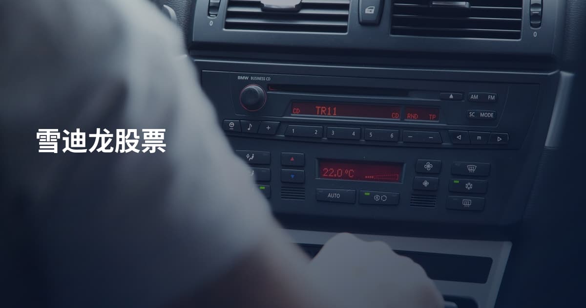 雪迪龙股票