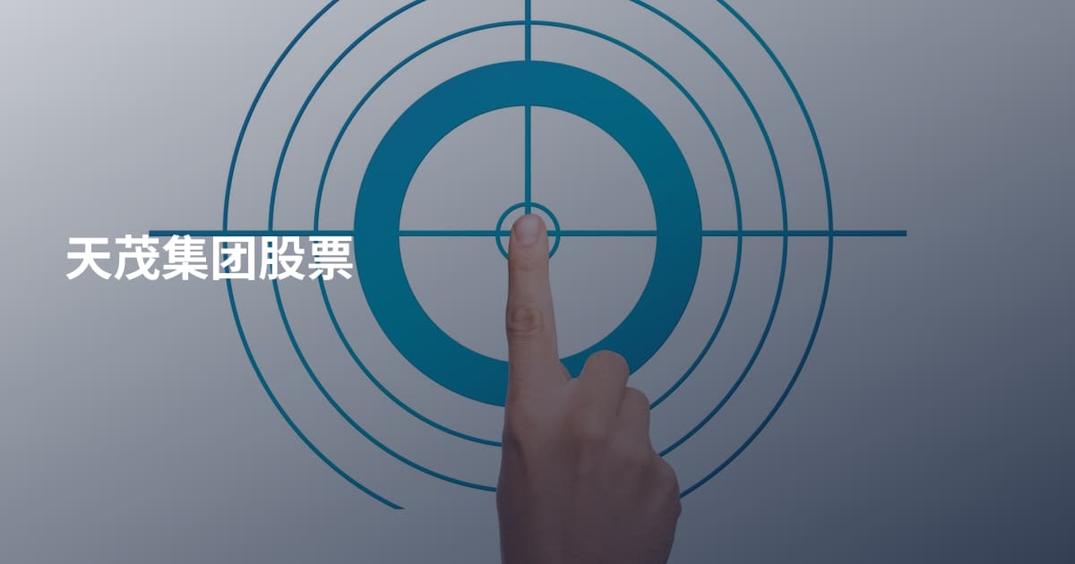 天茂集团股票