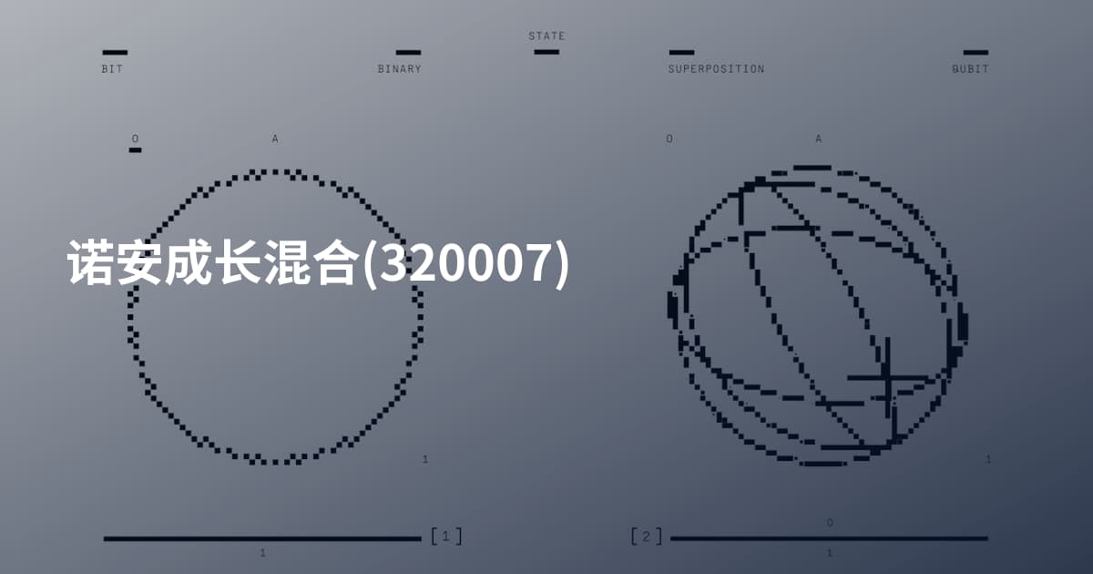 诺安成长混合(320007)