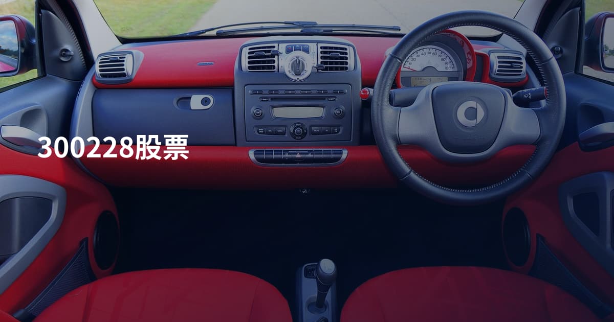 300228股票