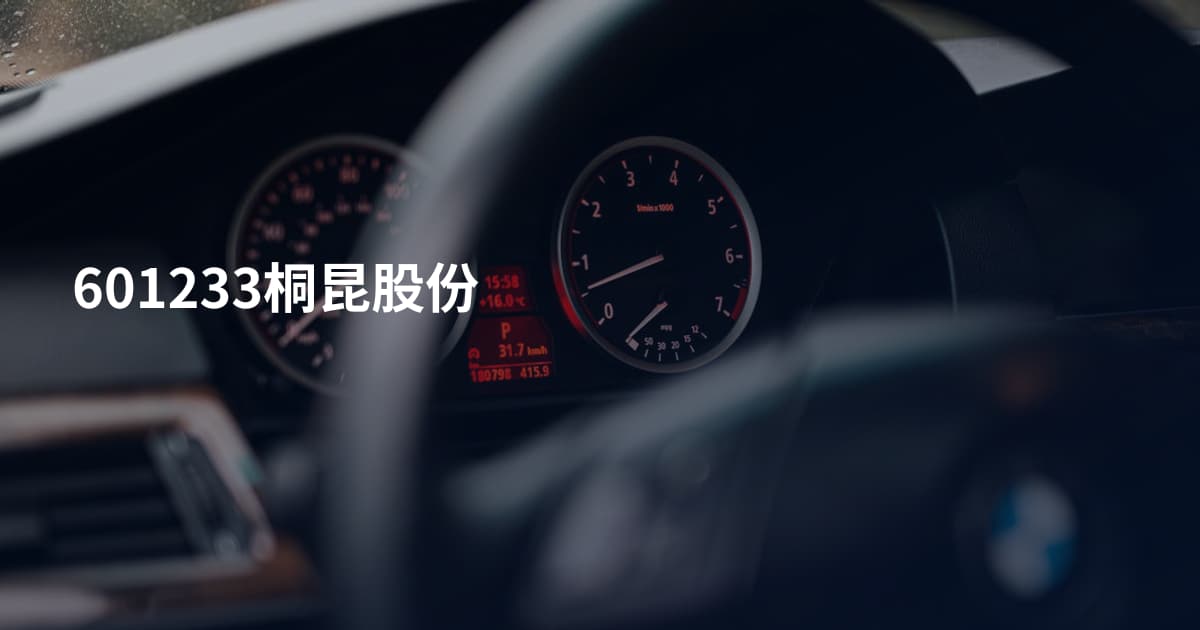 601233桐昆股份
