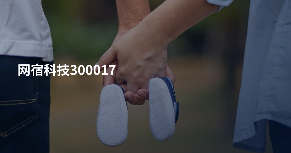 网宿科技300017