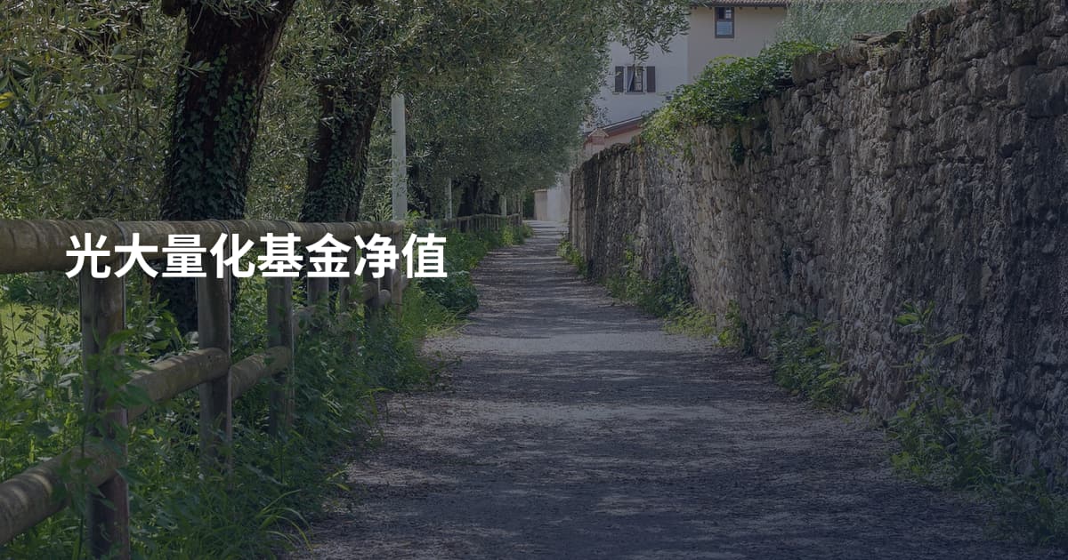 光大量化基金净值