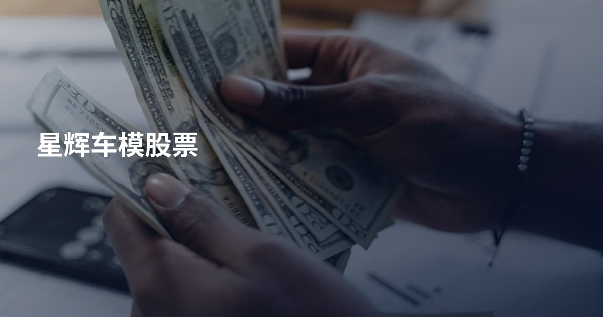 星辉车模股票