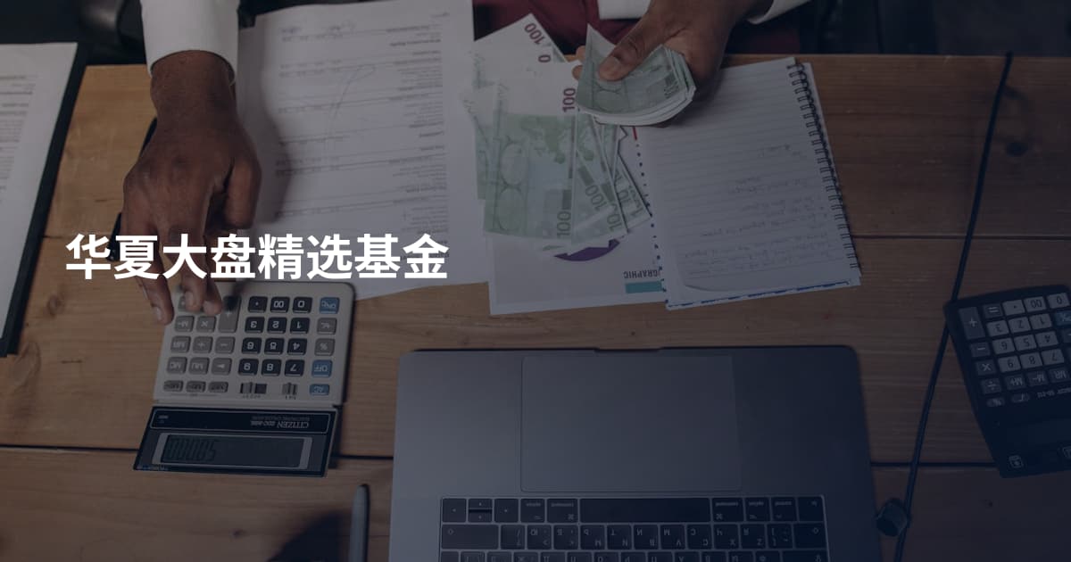 华夏大盘精选基金