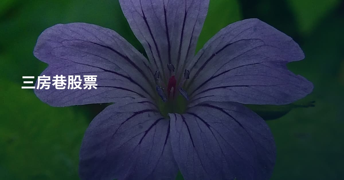 三房巷股票