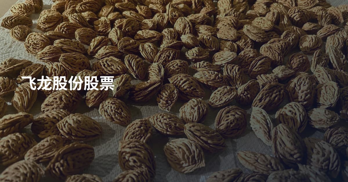 飞龙股份股票