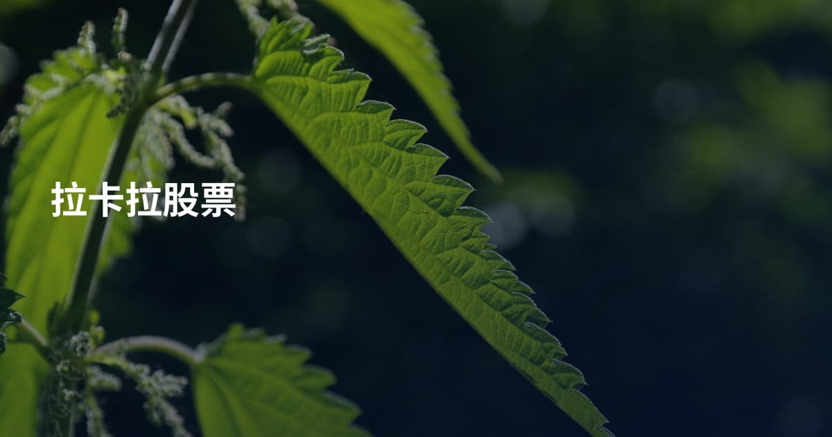 拉卡拉股票