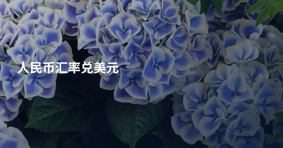 人民币汇率兑美元