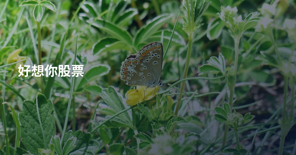 好想你股票