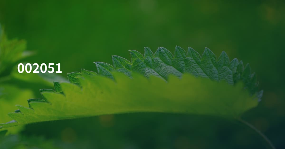 002051