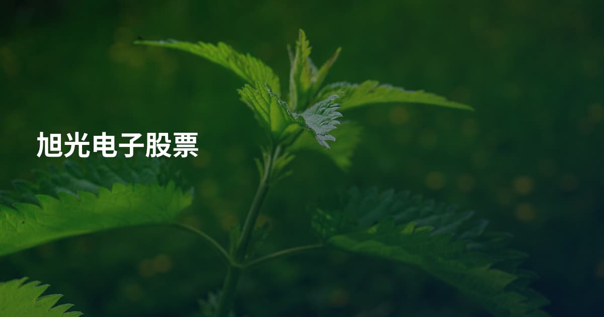 旭光电子股票