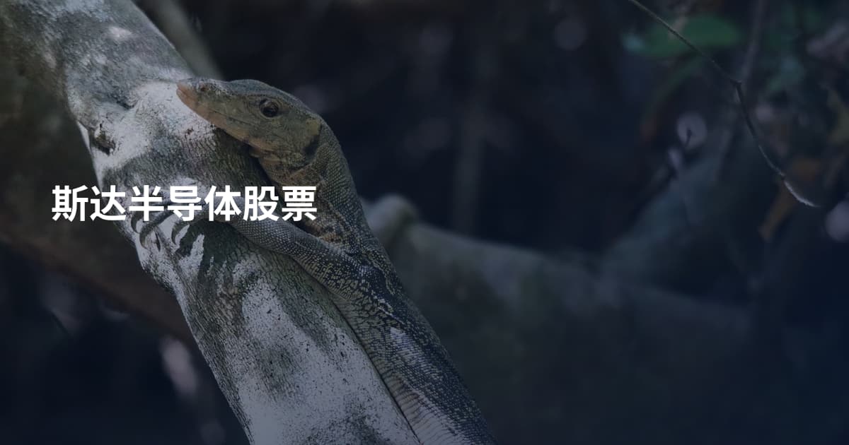 斯达半导体股票