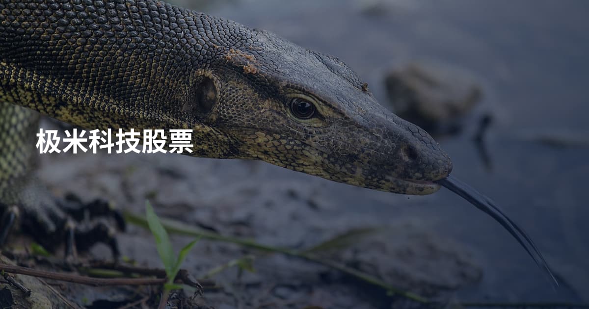 极米科技股票
