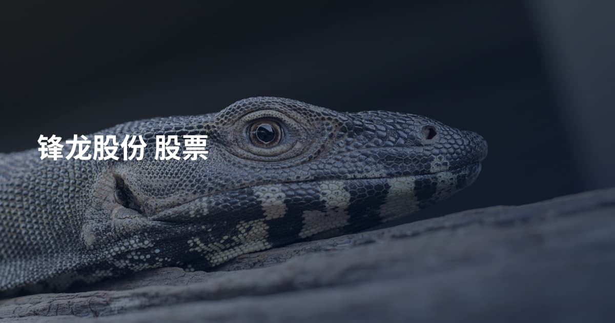 锋龙股份 股票
