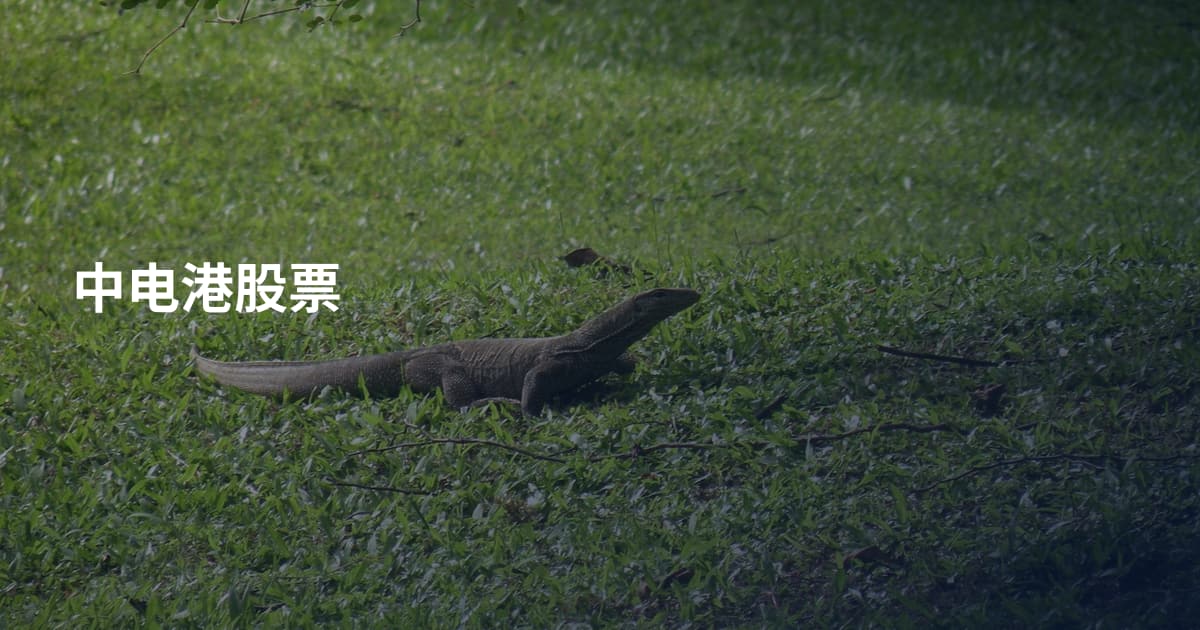 中电港股票