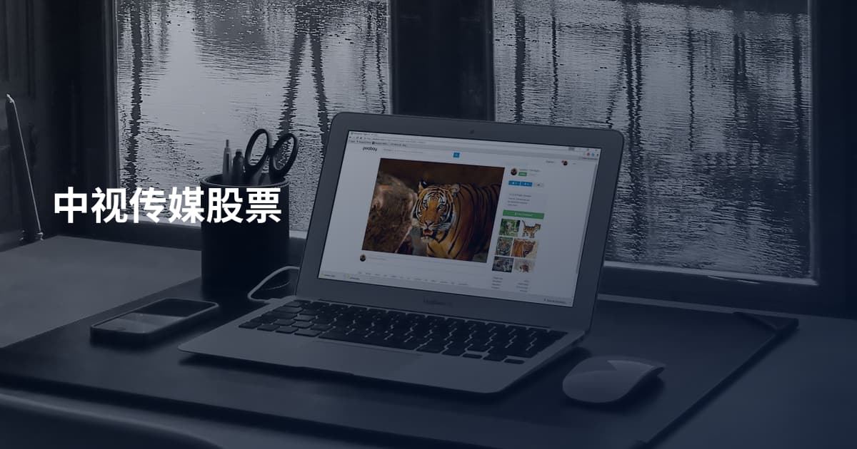 中视传媒股票