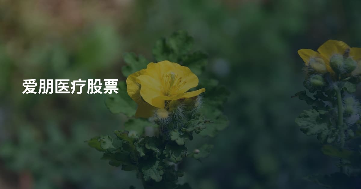 爱朋医疗股票