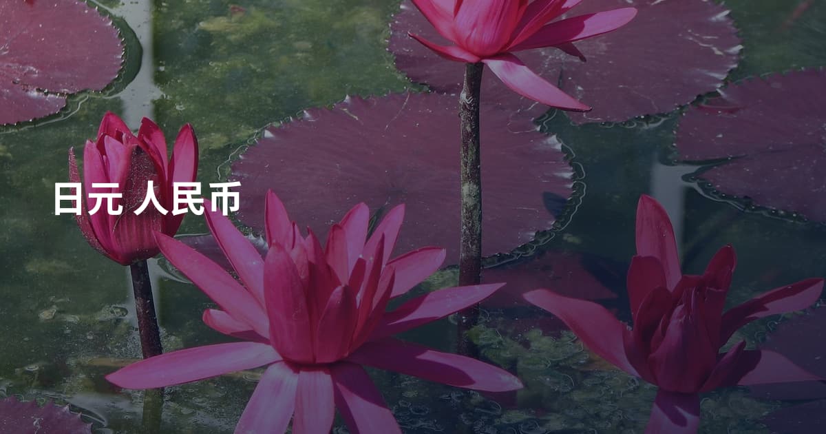 日元 人民币