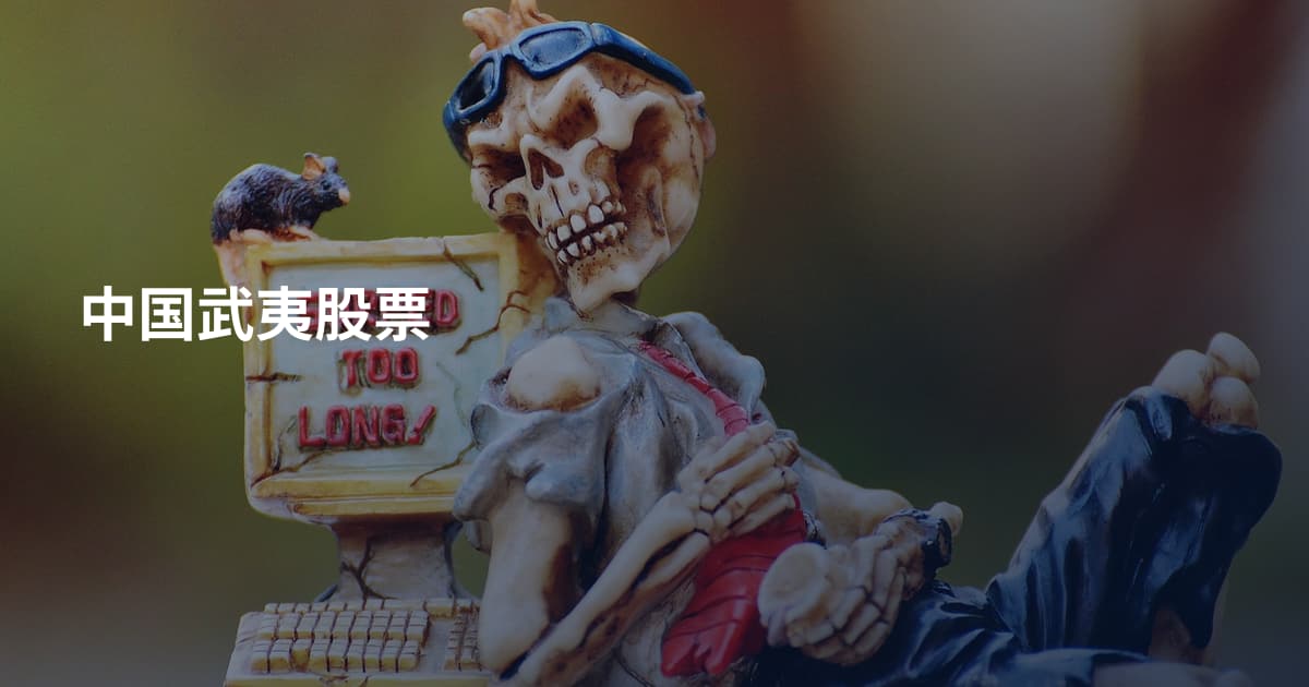 中国武夷股票