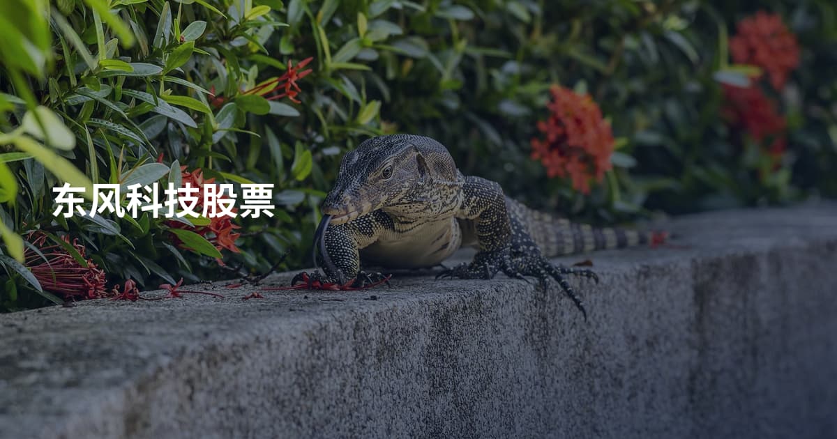 东风科技股票