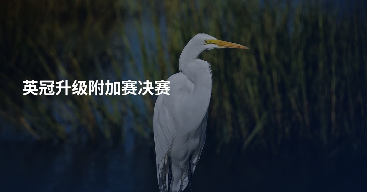 英冠升级附加赛决赛