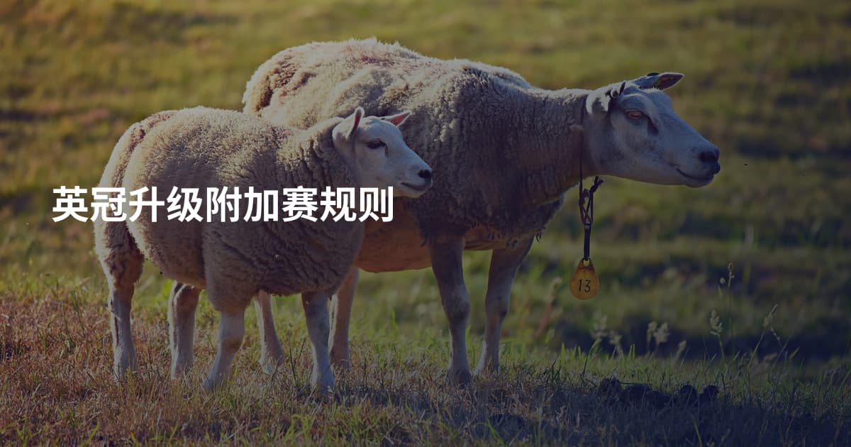 英冠升级附加赛规则