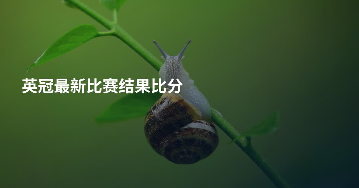 英冠最新比赛结果比分
