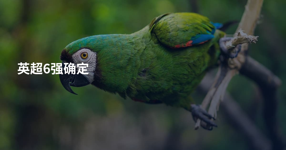 英超6强确定