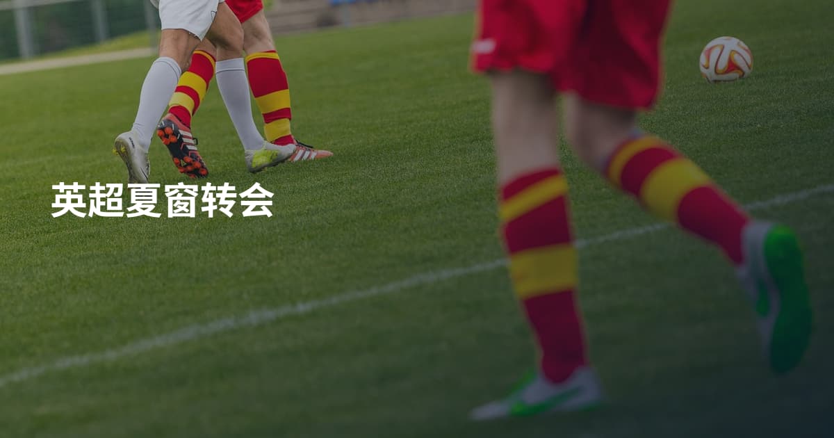 英超夏窗转会