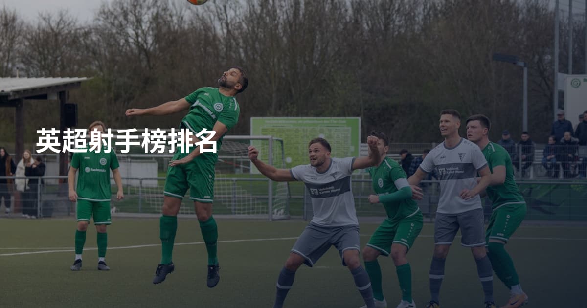 英超射手榜排名