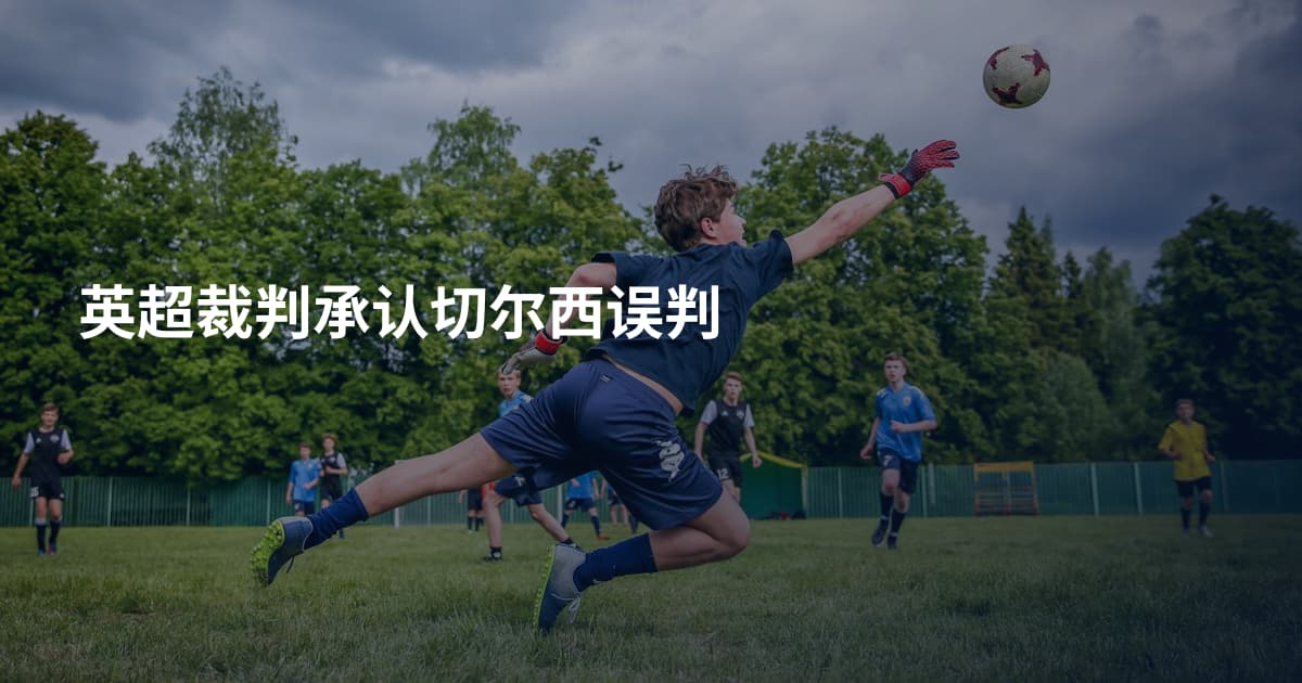 英超裁判承认切尔西误判