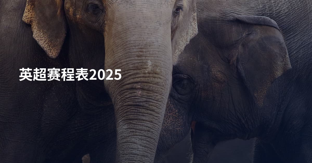 英超赛程表2025
