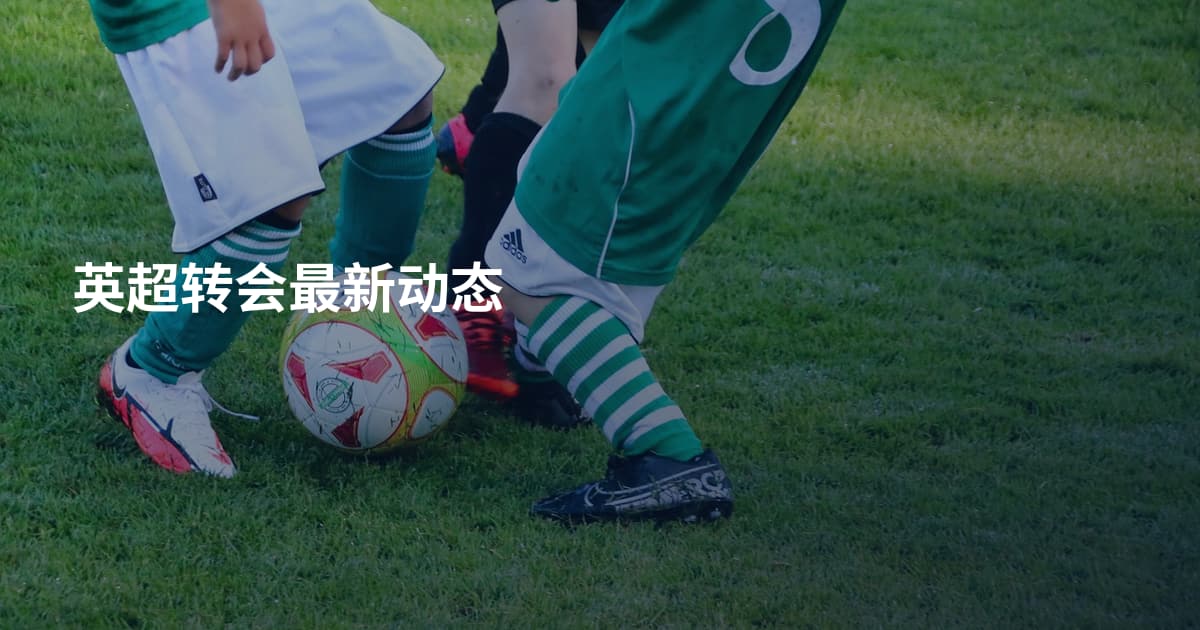 英超转会最新动态