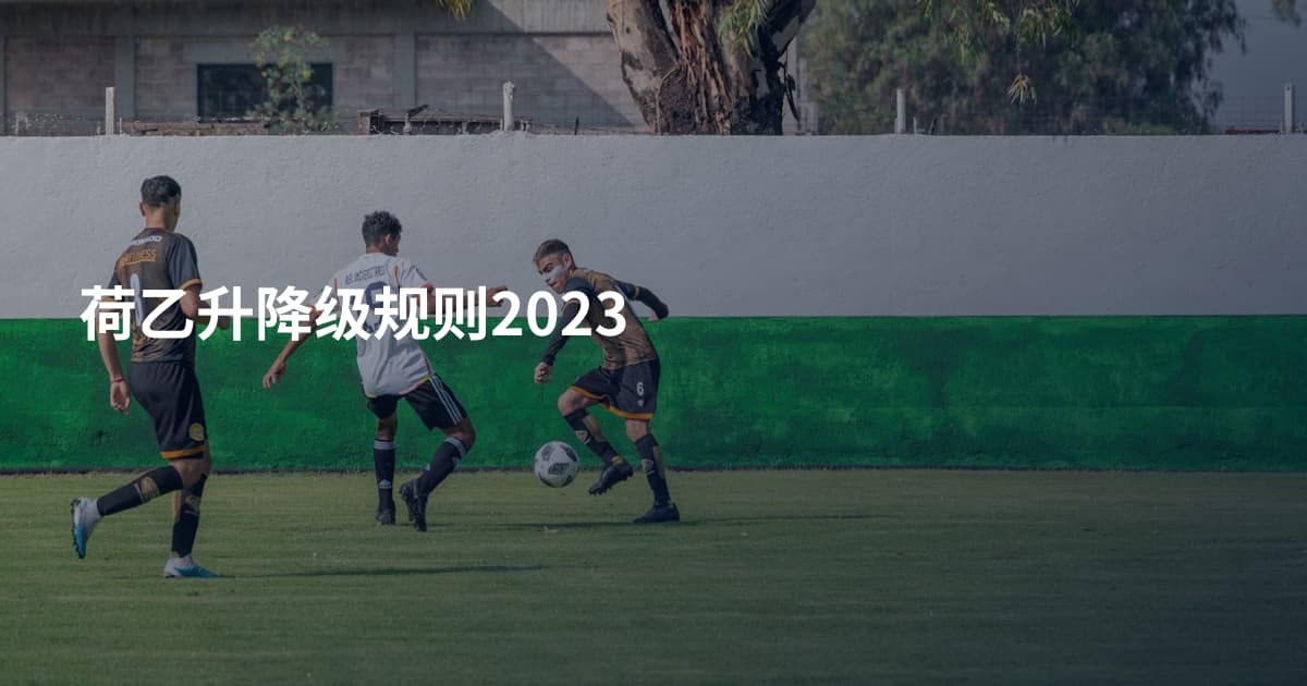 荷乙升降级规则2023