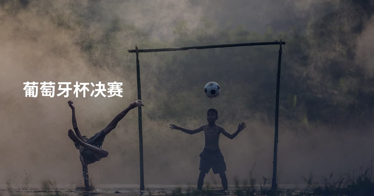葡萄牙杯决赛