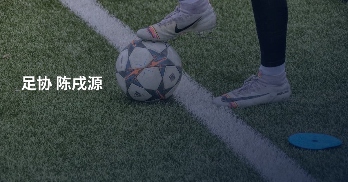 足协 陈戌源