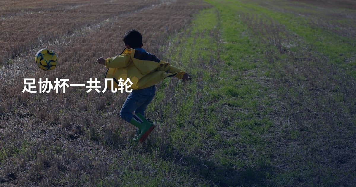 足协杯一共几轮