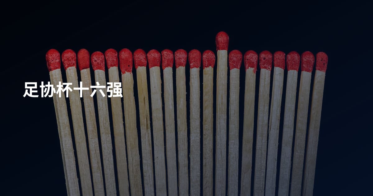 足协杯十六强