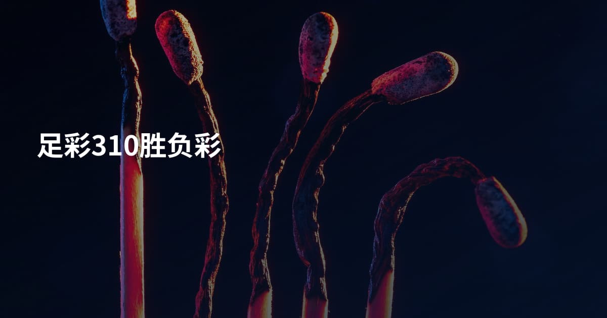足彩310胜负彩