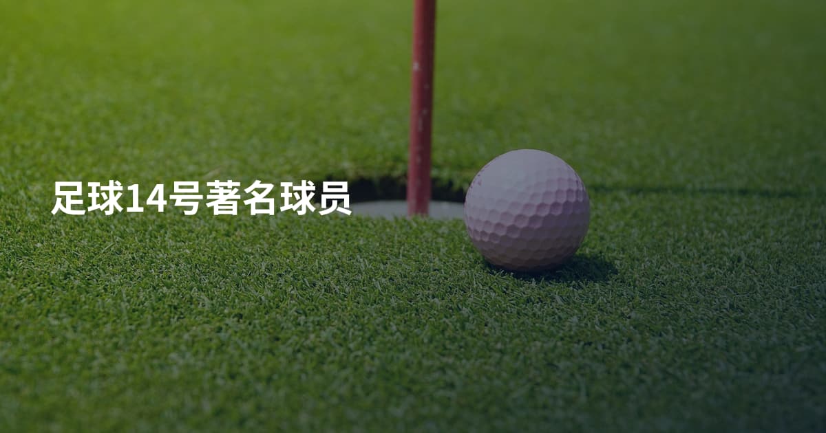 足球14号著名球员