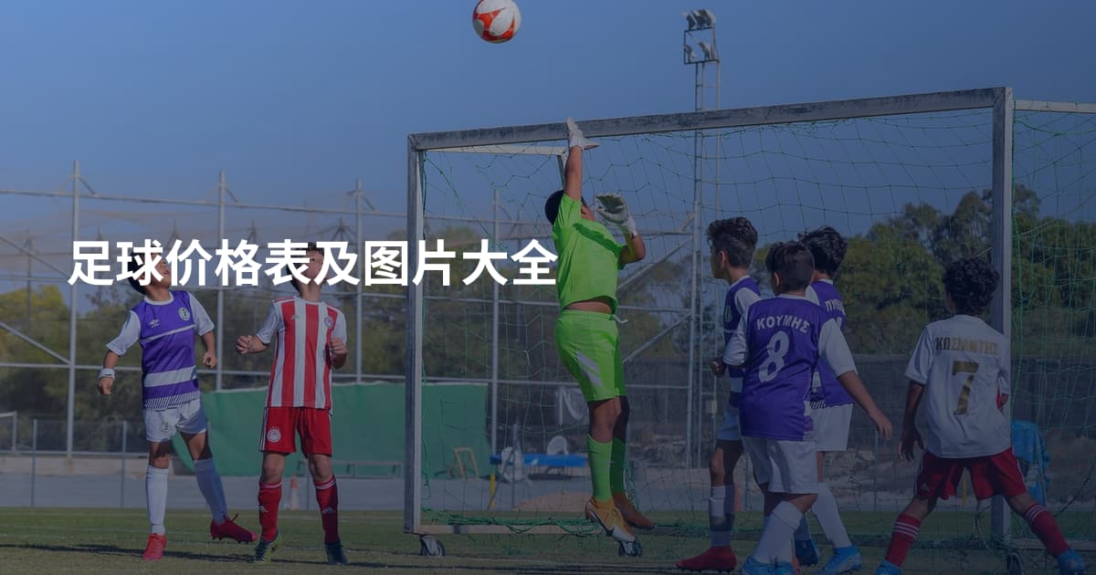 足球价格表及图片大全