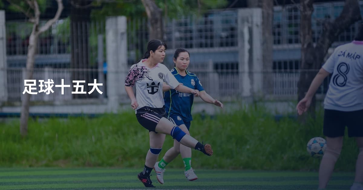足球十五大