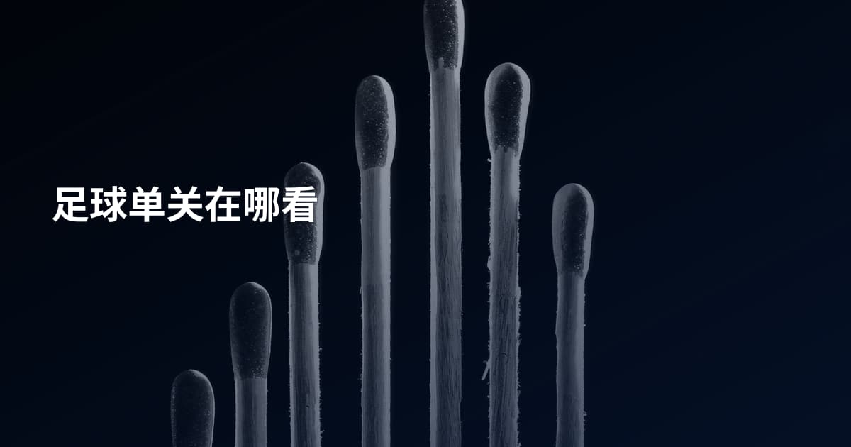 足球单关在哪看