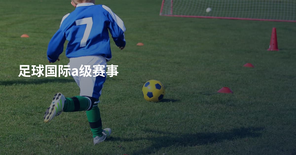 足球国际a级赛事