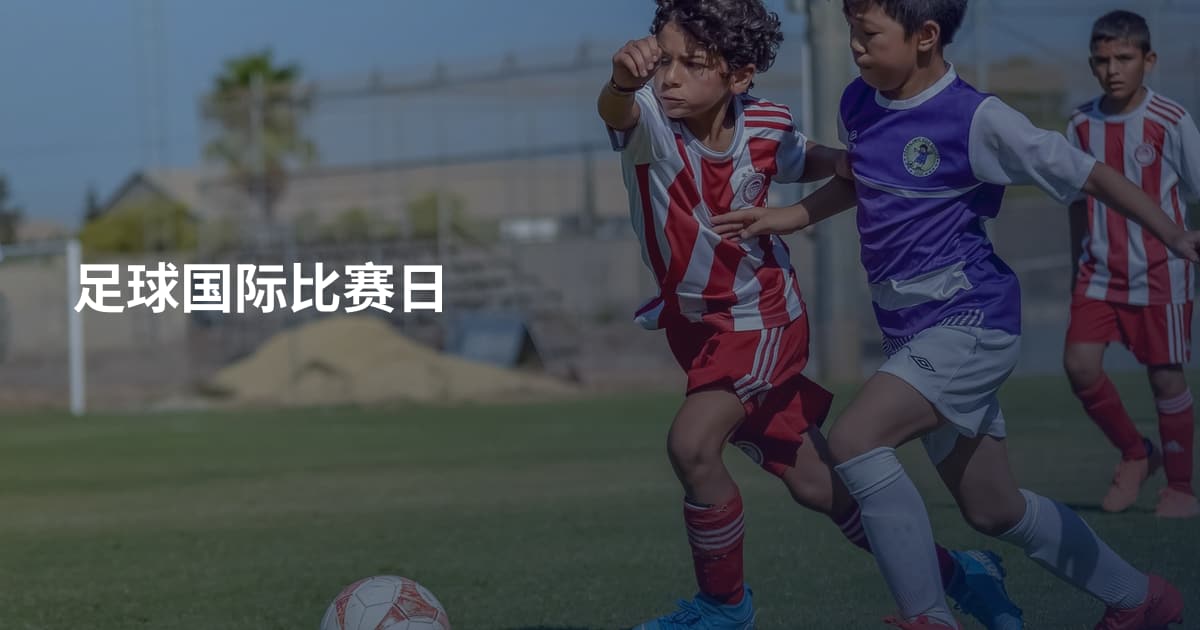 足球国际比赛日