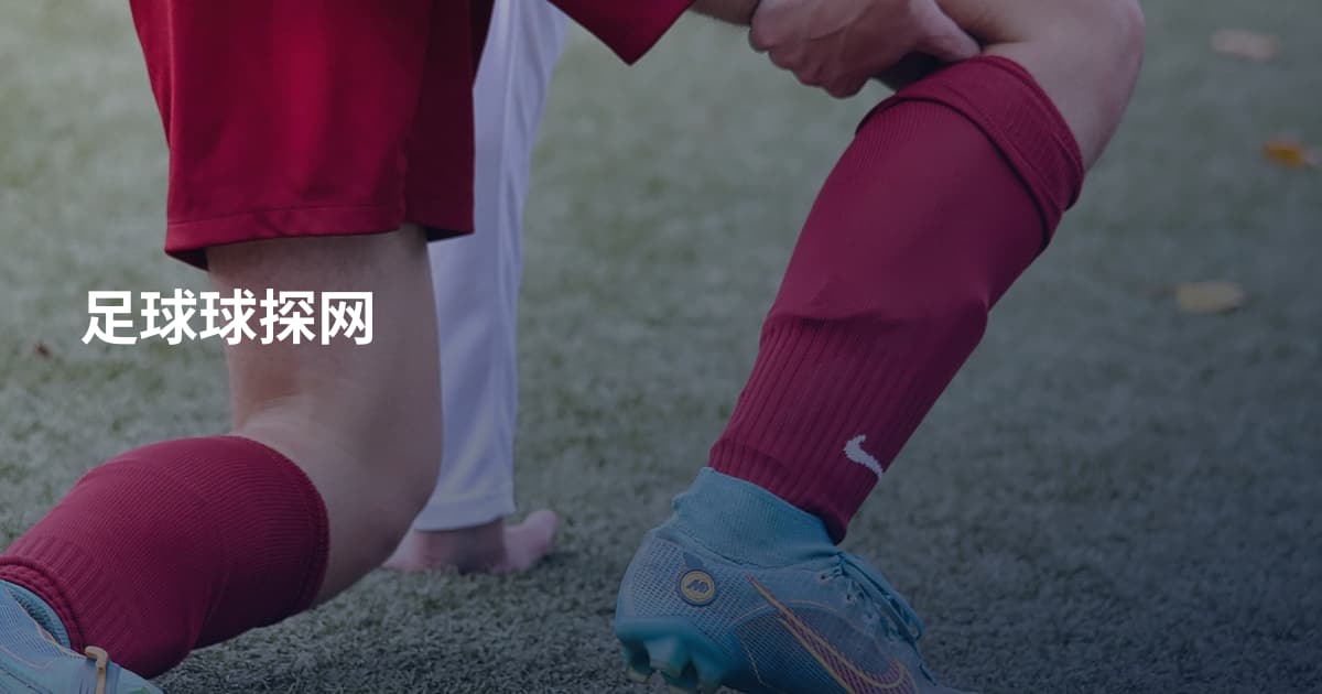 足球球探网